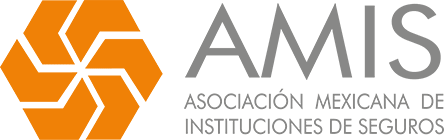 logo-amis